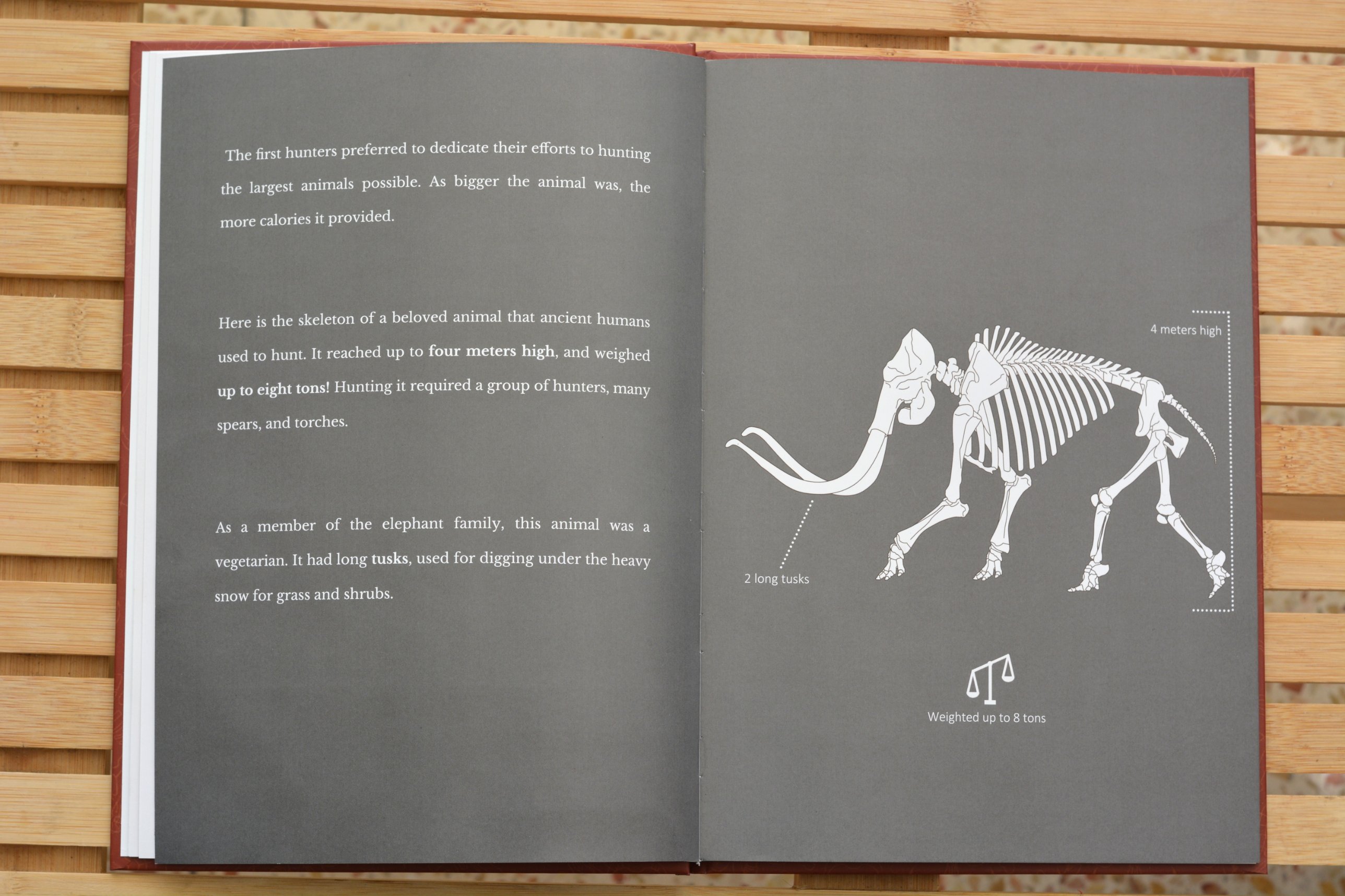 Mammoth skeleton diagram
