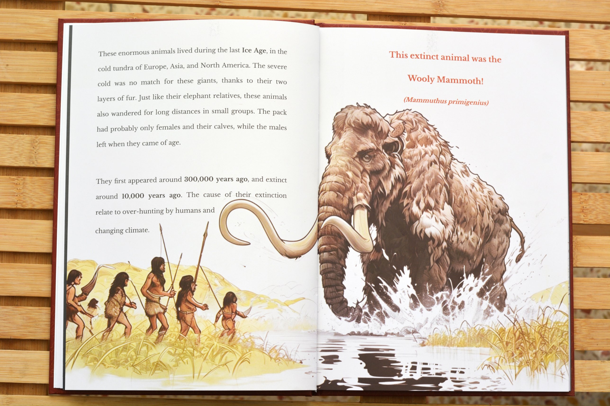 The woolly mammoth illustration